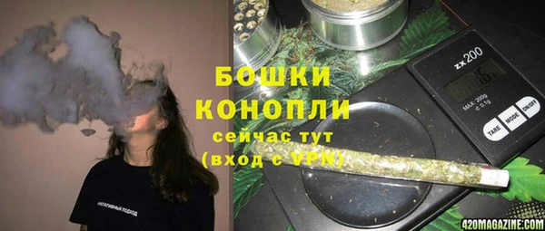 прущие грибы Нефтегорск