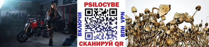 сайты даркнета телеграм  Рыльск  Галлюциногенные грибы мухоморы 
